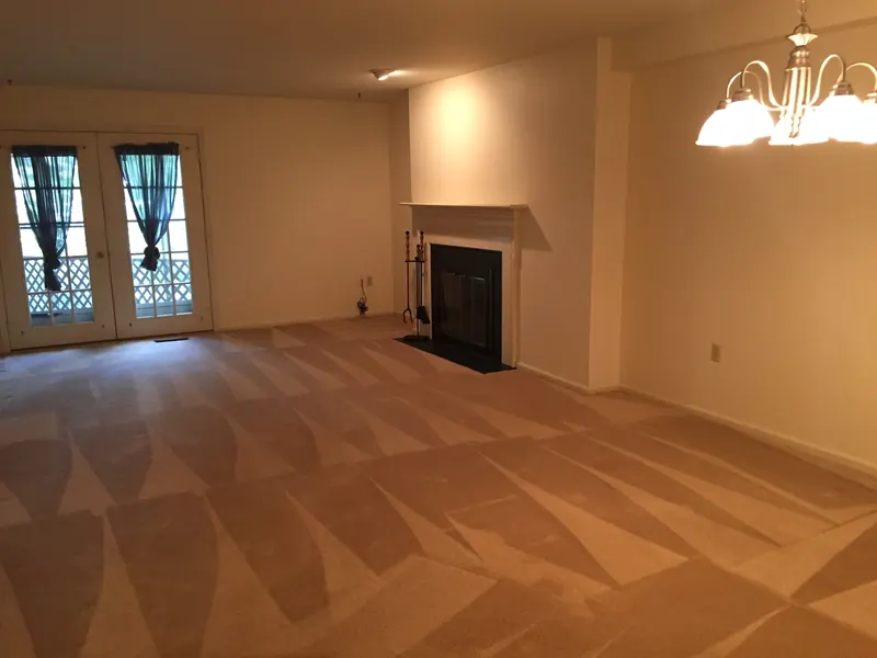 Living room with fireplace