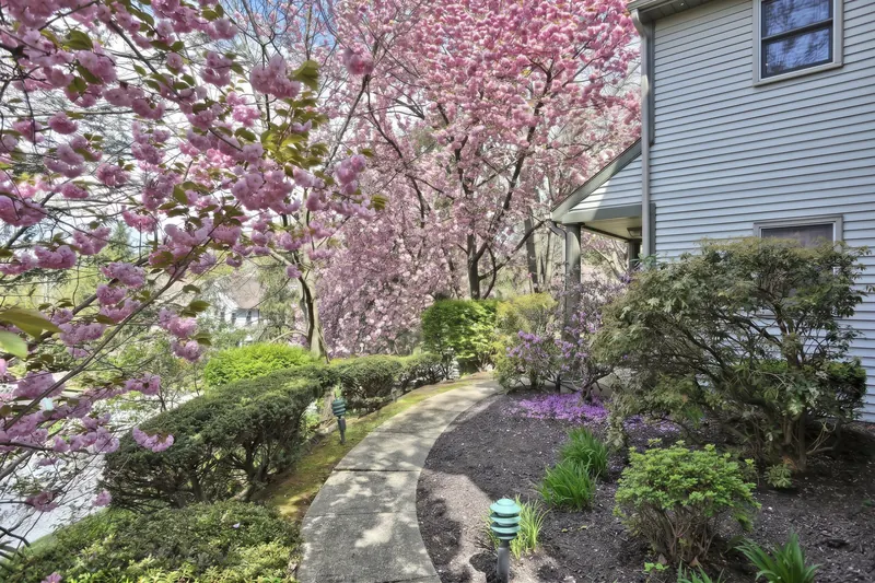 Landscaped walkway in bloom